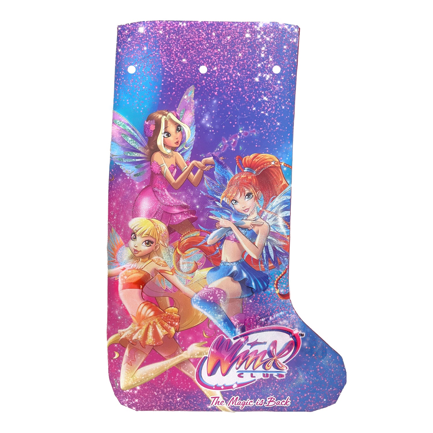 DIY Winx Stocking Kit