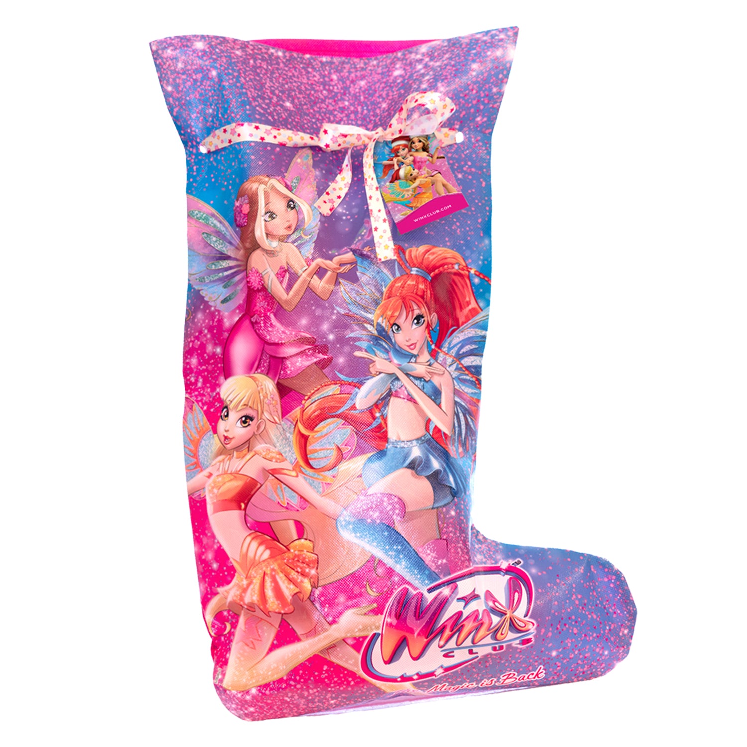 DIY Winx Stocking Kit